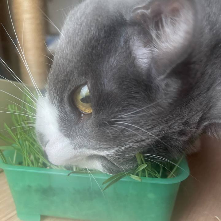 43ee64ba 4b15 423f 83e1 125f5df3f00e 1691373873117