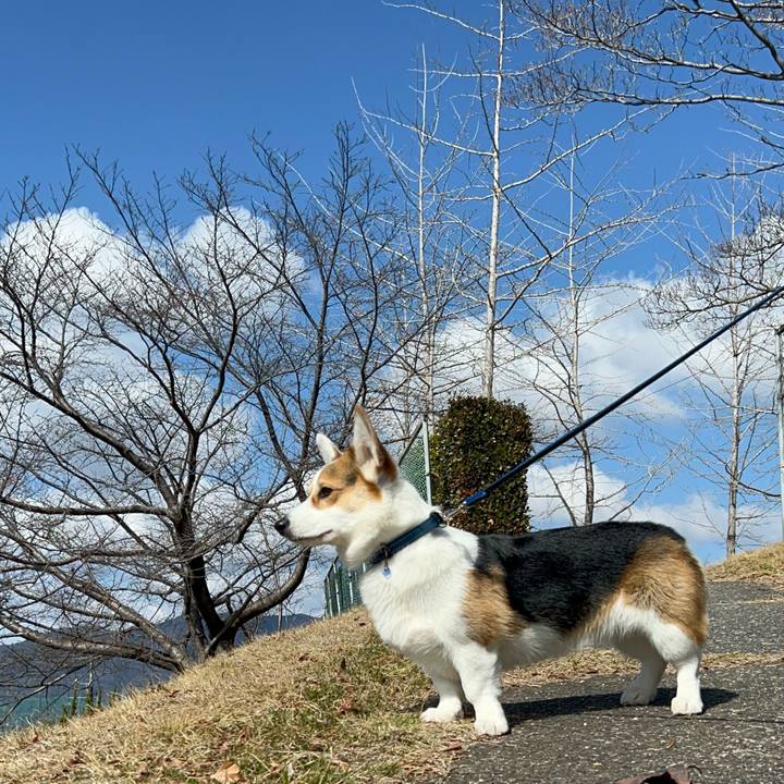 43ee7a38 9f3e 4af8 a88b 071bae70c5bc 1773381690185