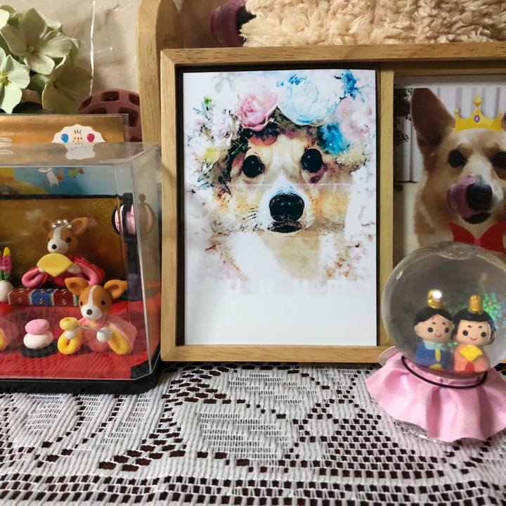 43ee7d2a 1143 413f 98fa 238f1e67f5bc 1519305362576