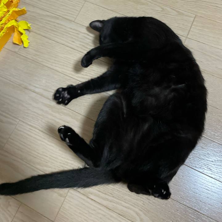 43ee9212 6708 49a7 a7c1 e4ec401c0ef7 1765371269799