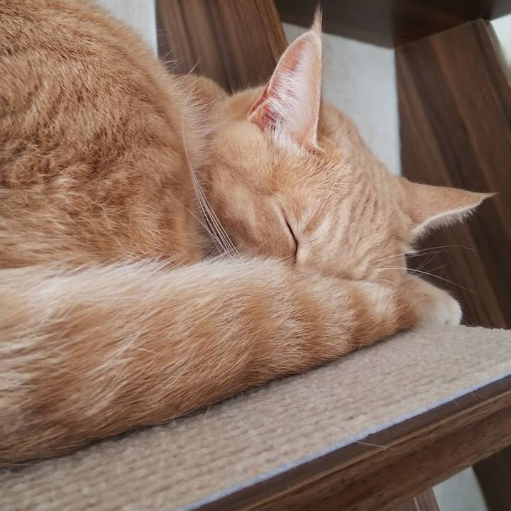 43eea7b0 4300 4cf4 b2bd b1f1b0665f35 1565732196921