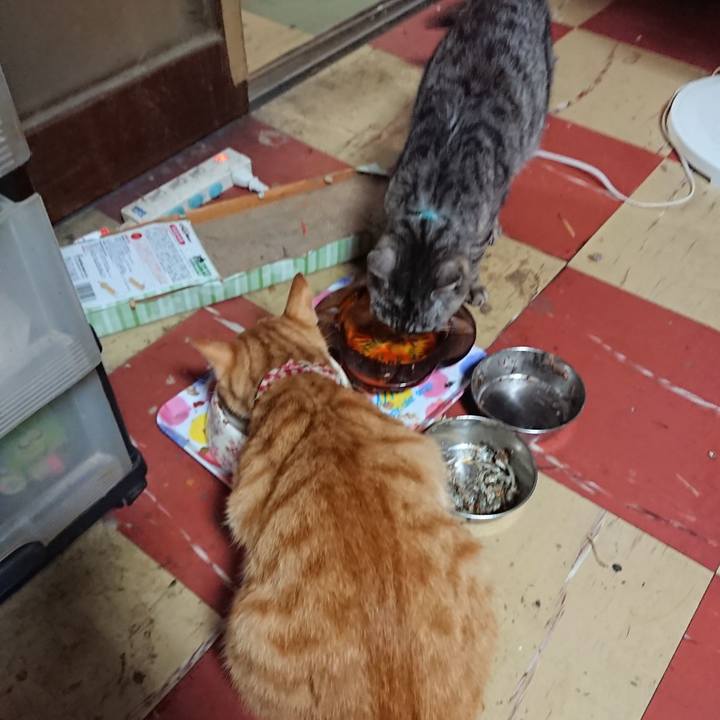 43eeac73 ea18 44ed 93d7 f642b490458f 1562270845210