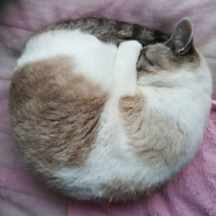 43eeb88c 8ebe 4e0e a345 667da8d470f0 1545535746059