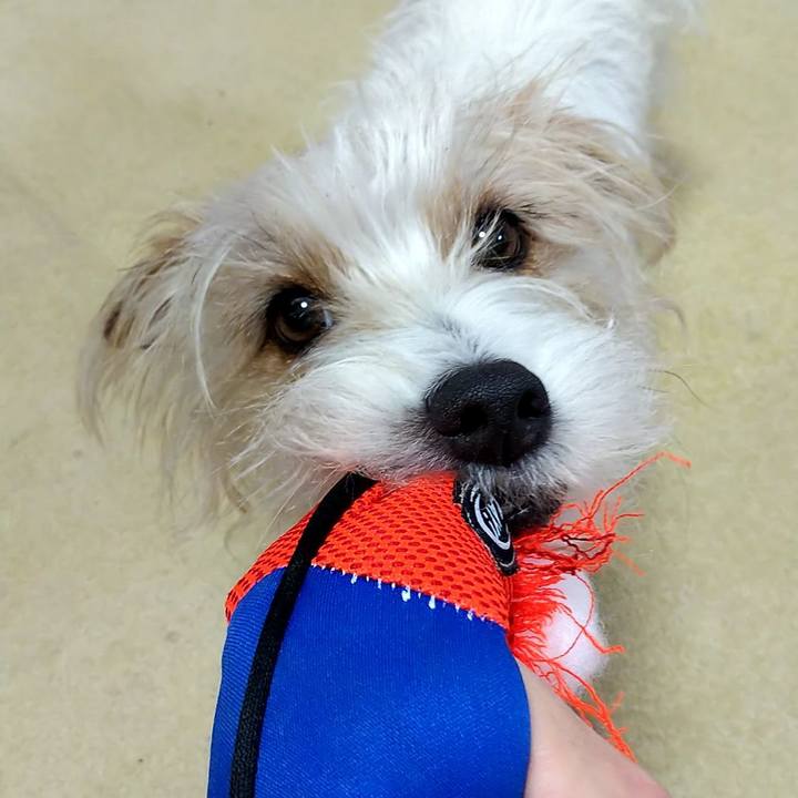 43eec339 faa5 40fd 9a63 192ceaceb442 1522761388590