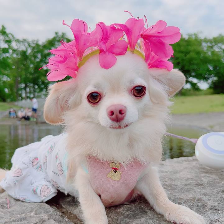 43efa424 9ee1 436e b2fd e32e762ef619 1684576361211