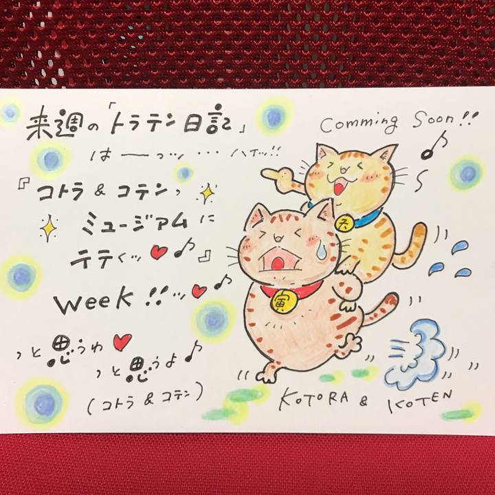 43f00fea bf2f 4c6b a803 69671d633ba4 1566138248052