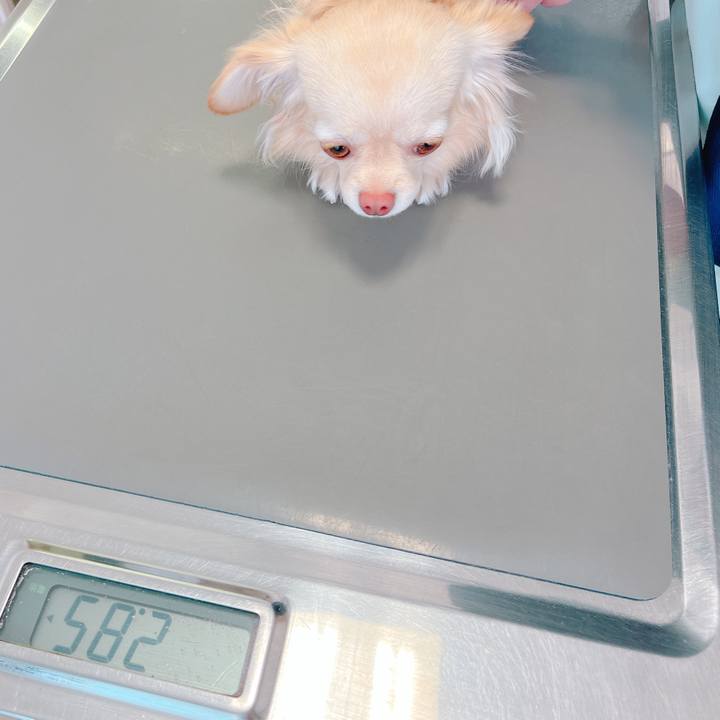 43f01b8e ffe9 45b5 a2bc 95e2a82bedd7 1649224806765