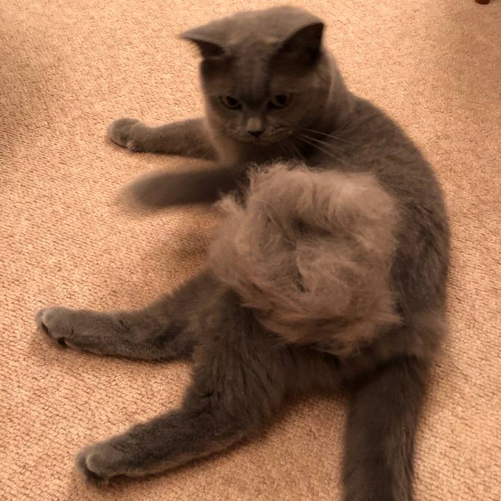 43f02179 bf16 4ace 8574 9131b0f810fd 1533819054010