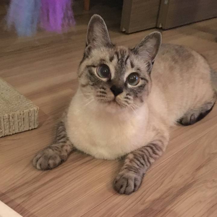 43f033c9 252f 4138 9d19 2c45f6650171 1559132740608