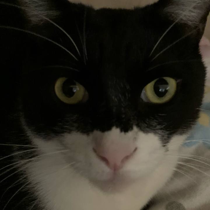 43f07a71 fb6b 4b77 a378 8fbc21102d32 1615438343995