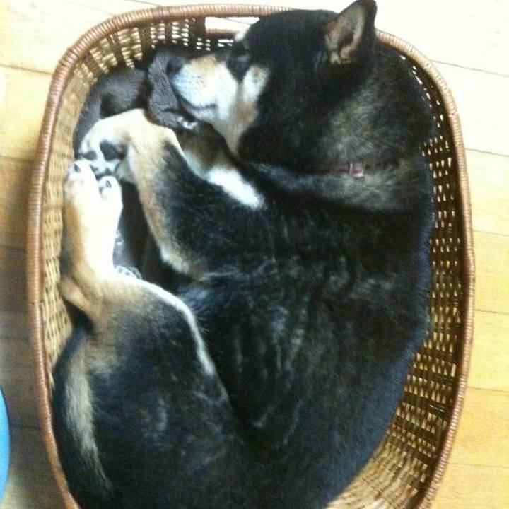 43f0c8de b1f3 418a b6d8 805954154aa3 1534913474826