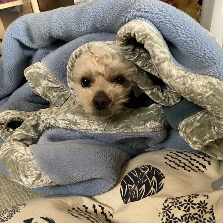 43f0d949 838c 4590 b7bf 273fe593caaf 1588254804953