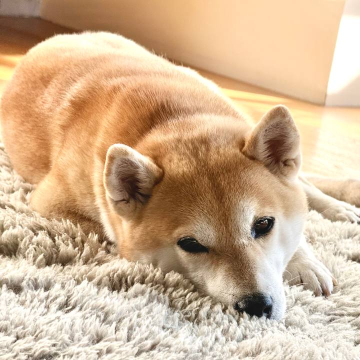 43f1555e 837f 4d1f b022 95ca18c234cd 1766124043329