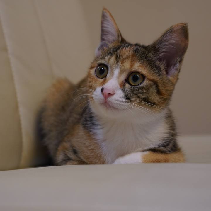 43f1a600 c960 4d59 9ce5 4492c72fed20 1572791275742