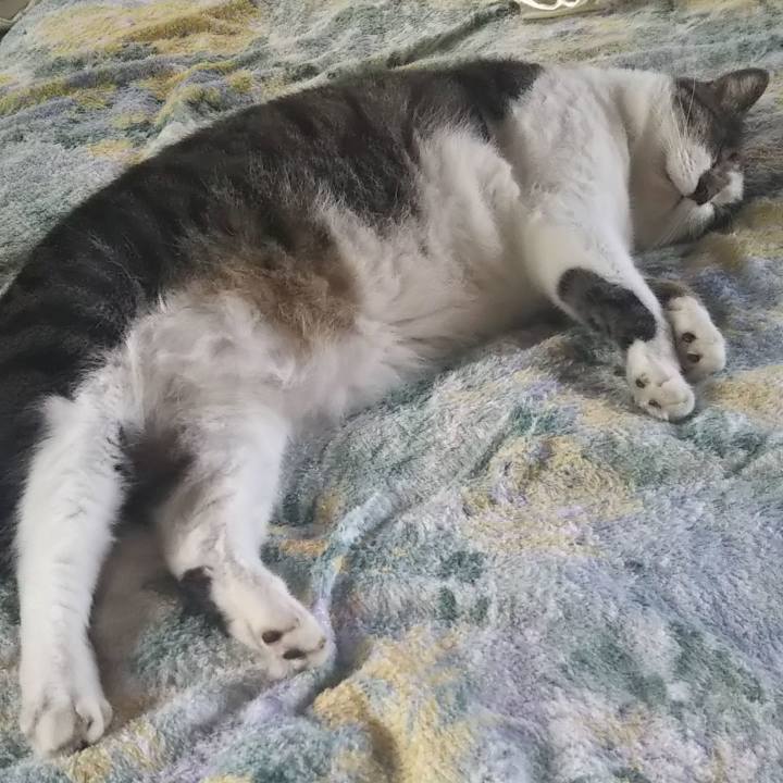 43f1bab0 d6a8 4e39 9007 b71d7529bf27 1611843384015