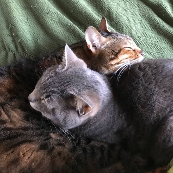 43f1c5be 5188 4e8d a5bb 87105d142370 1528010929505