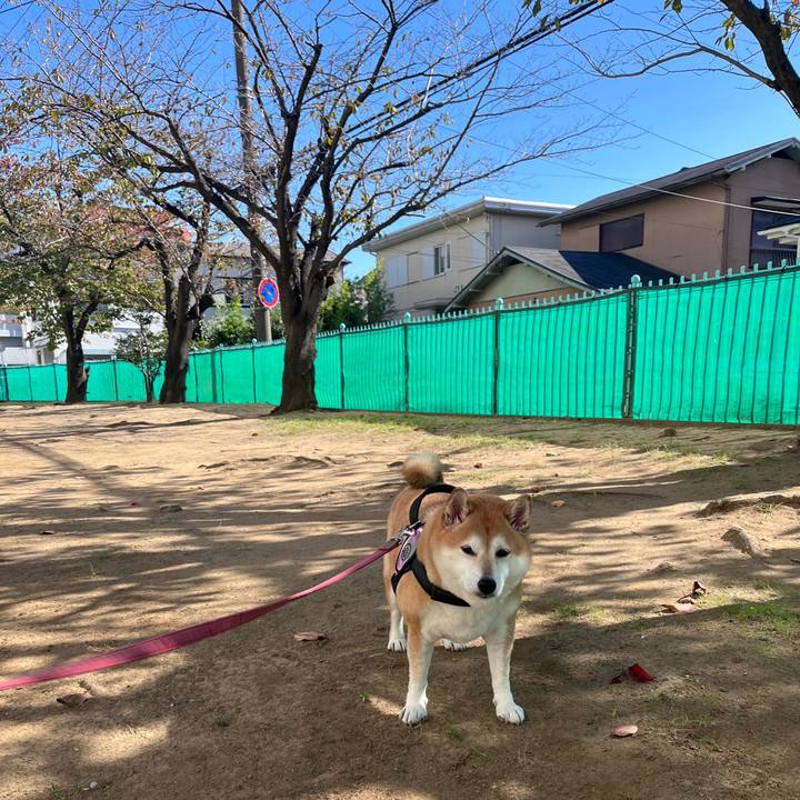 43f1dbf5 e49b 4913 a63c 9f39265d051a 1699411769286