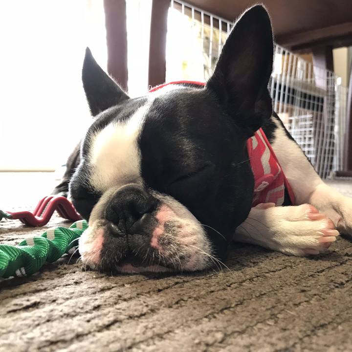 43f237d8 4524 401e b406 fe5653f06ede 1537755298556