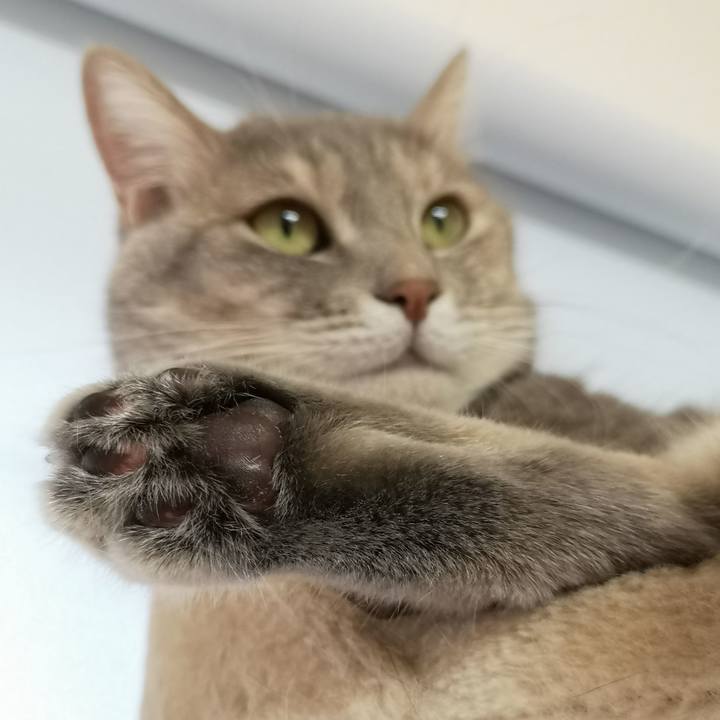 43f242ed b5b4 46f9 bdf0 f78729e5d40c 1568967303559