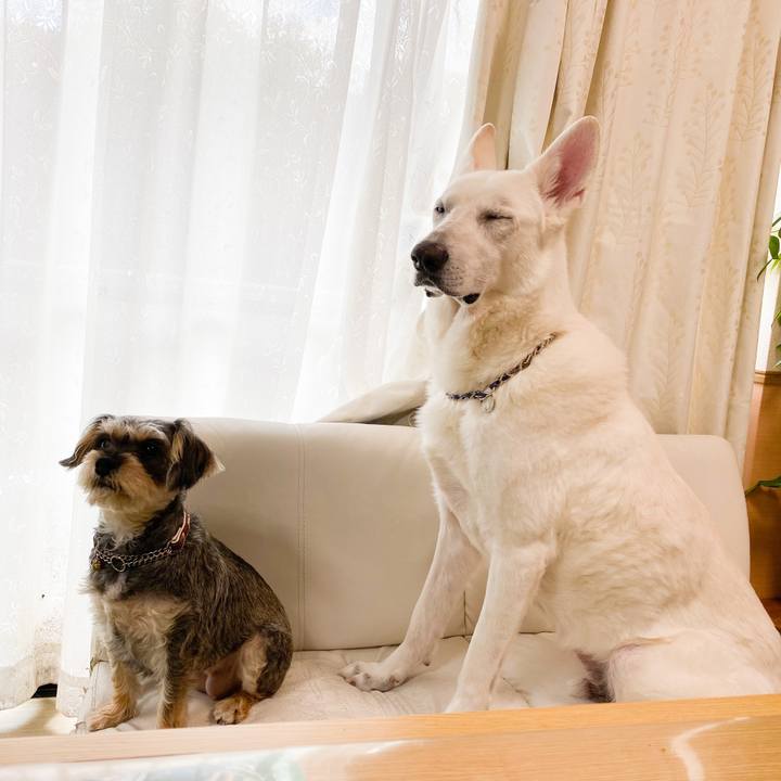 43f25faf 384d 49b7 8778 d7c0e5413dd4 1586060067826