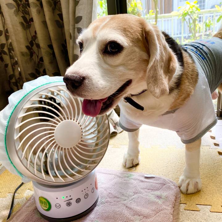 43f26a9f 83f5 4248 9381 135f939d7d99 1590301034912