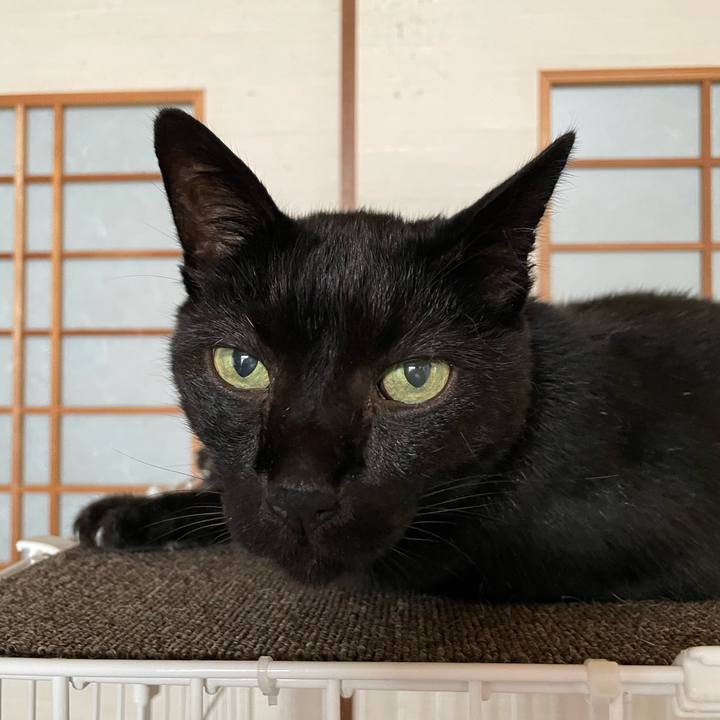 43f2713e d5b8 4eef 9f4c 8318e352d3a0 1661999276860