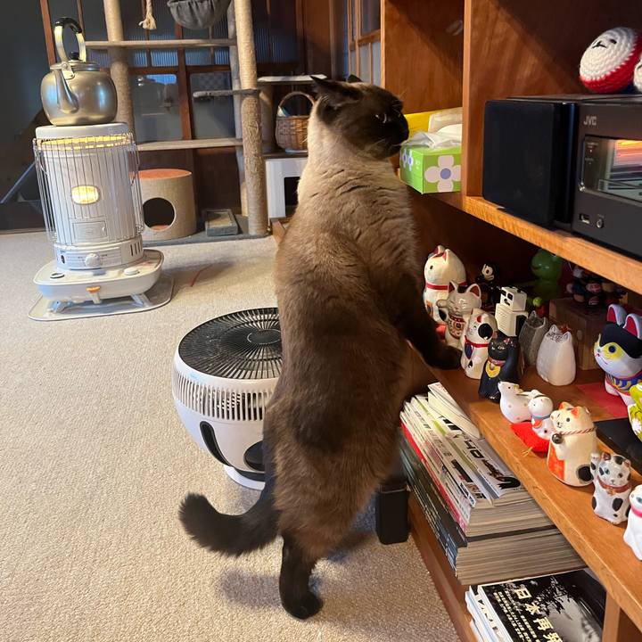 43f2cea2 7c8e 4d70 bb5e 8202adfd4cae 1673998531265