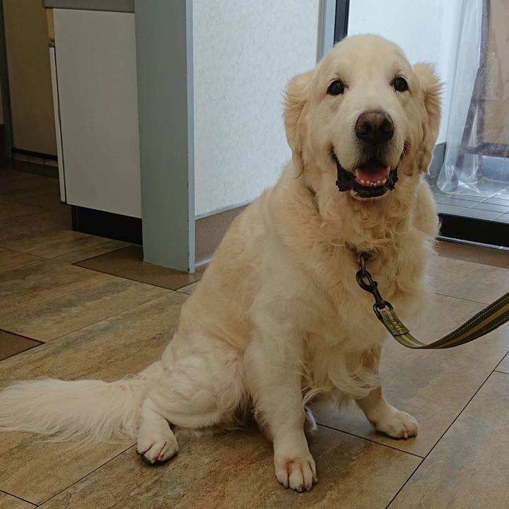 43f31c4c d009 497e a188 c3f75e8dafd6 1567141614518