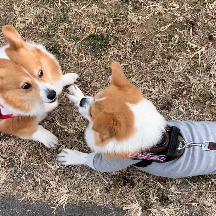 43f34167 7420 4403 872e 9d3abeca44ee 1675400191833