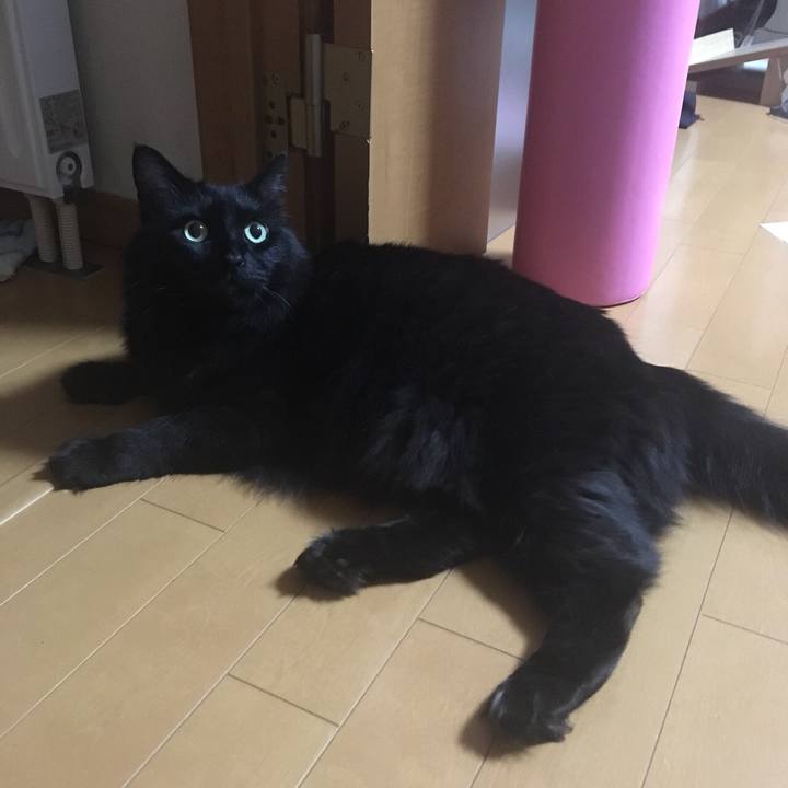 43f3464e 07cd 4484 b8ad 37cce3061671 1527164662252