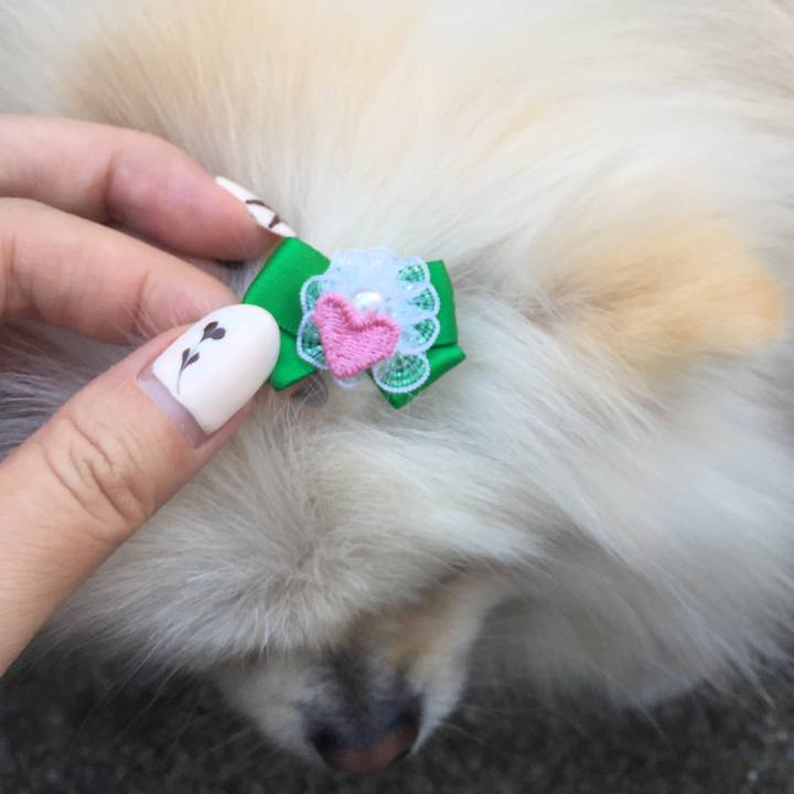 43f35e95 ed19 4261 bfea 2d2585fc9330 1581580977717