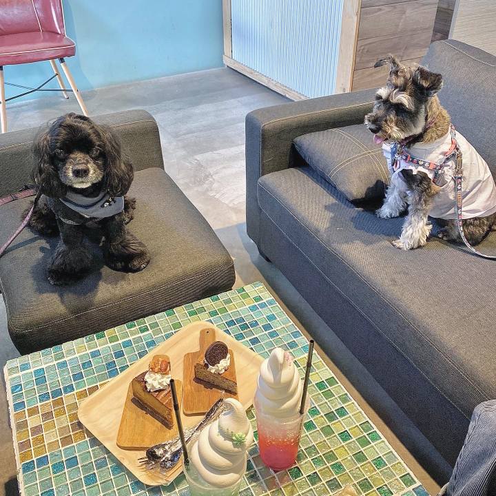 43f3766e 3da8 4fe8 996a 54ffc43ab7dc 1684731396281