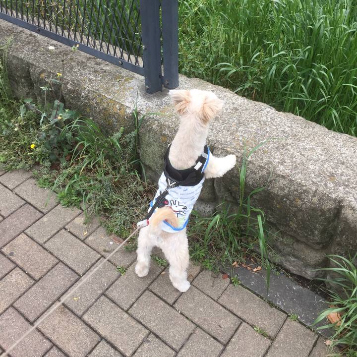 43f37d66 1338 45b9 b12b bf85e5613910 1556353928737