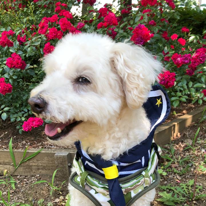 43f39689 ca2d 4aa5 a6d2 11031d6befb0 1528189084297