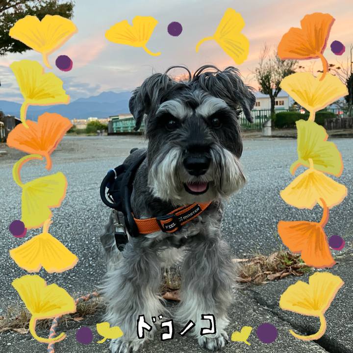 43f3c67f dcef 4097 a9f0 b375c6a15d82 1729083064671