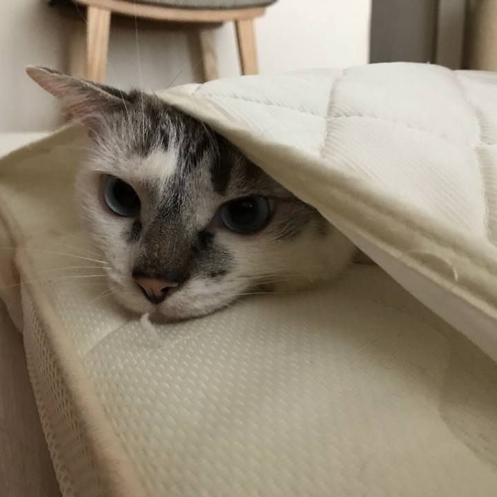 43f3cacb 0fe9 45cd 877d 849b6619a80e 1533357570129