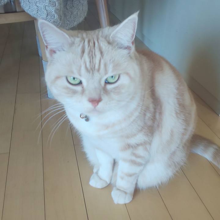 43f42aad 3626 4c51 909b 87b68277e3c9 1547599271752