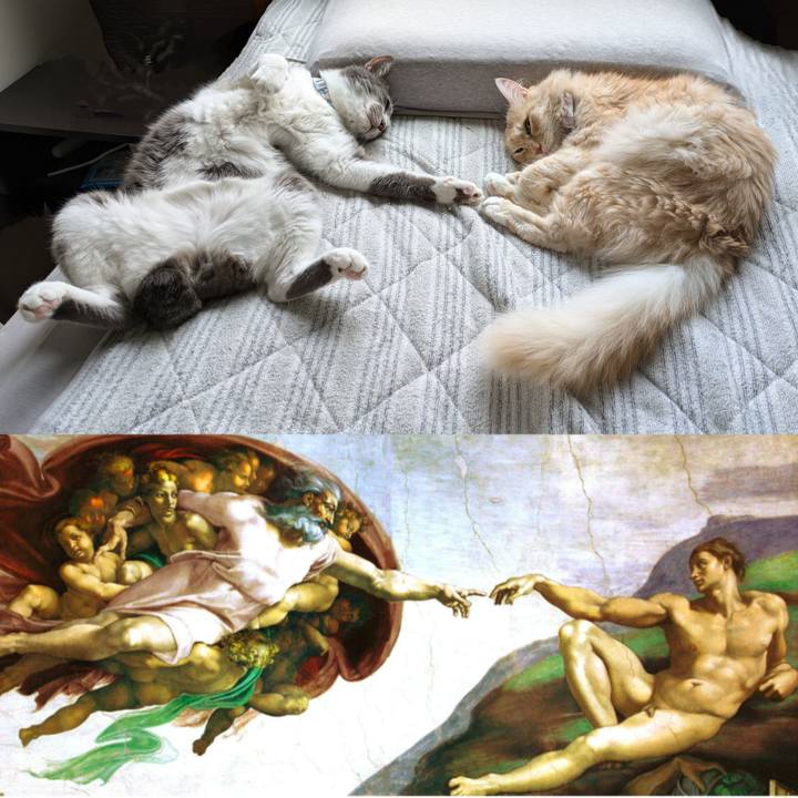 43f45368 d23d 444c afba e45fd50c5efc 1730199442200