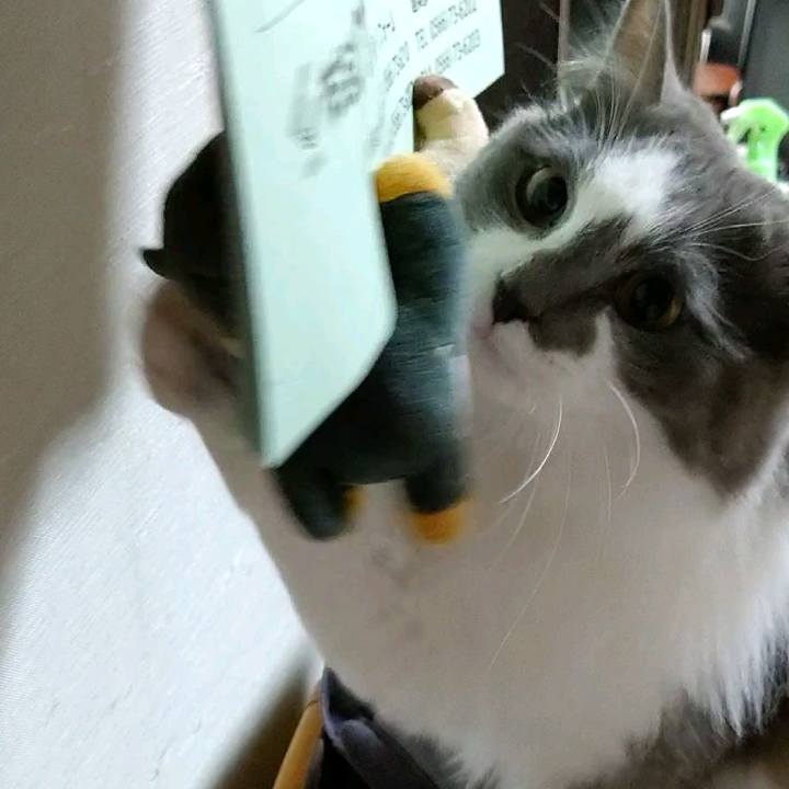 43f47976 af83 4447 b4d8 a359ec761e83 1587036068849