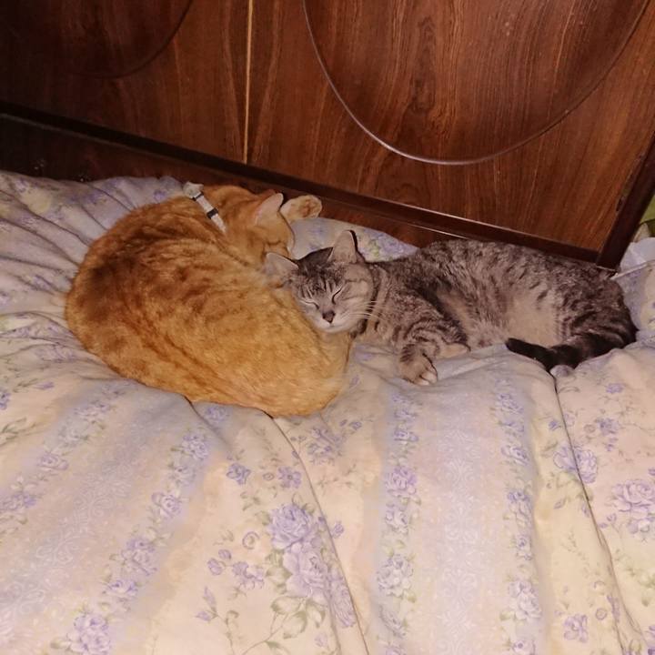 43f4ab86 fa3d 44db 8e47 3b2faae116a3 1588083178716