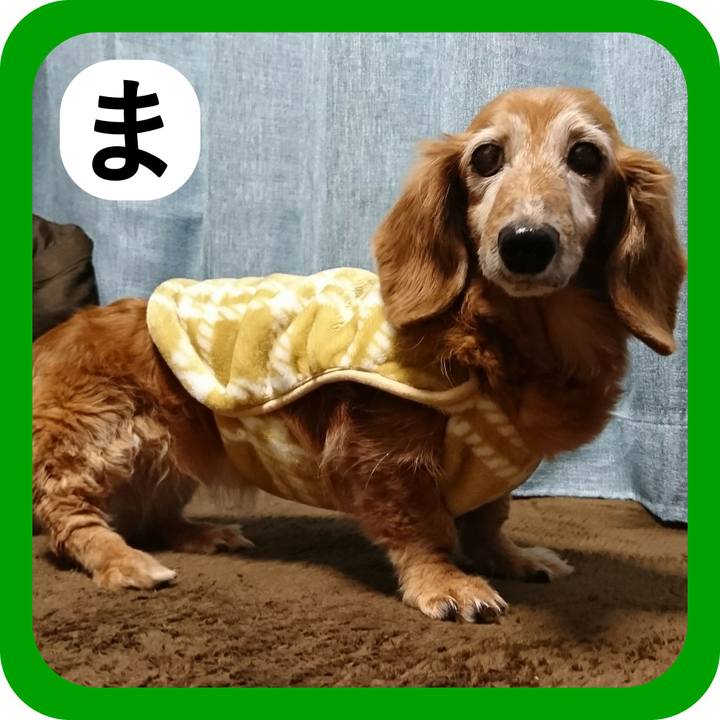 43f4cedb 6450 408c 8f88 89999fba1123 1514891200671