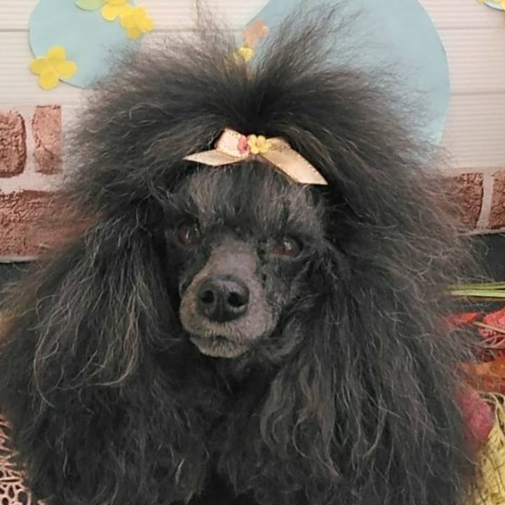 43f4e0ef ffad 4917 a316 87050e6b7484 1668140324812