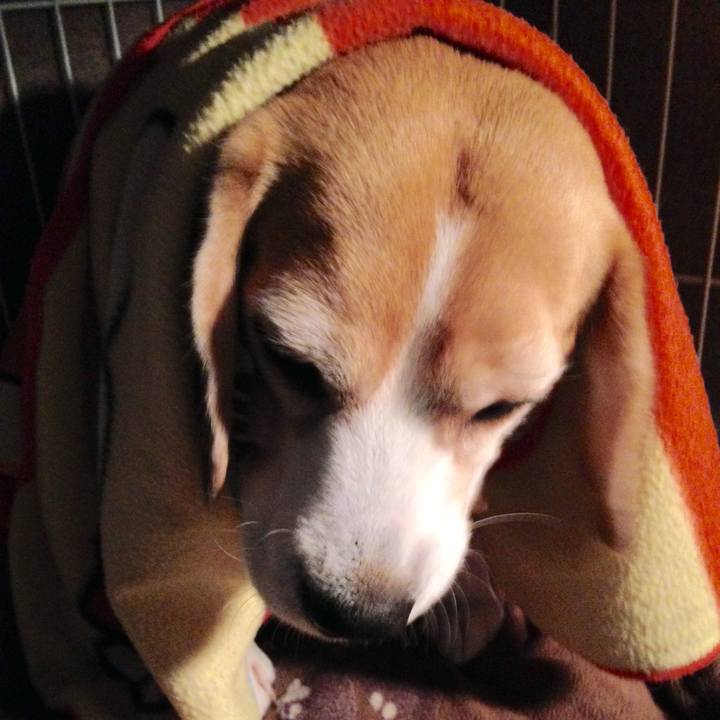 43f4e85e 4c73 40ab ae7c 0dc5b64cb2a7 1739843113378