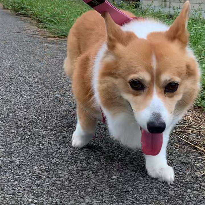 43f5354d a107 45ef 8b0c 34e0076b6065 1665374641256