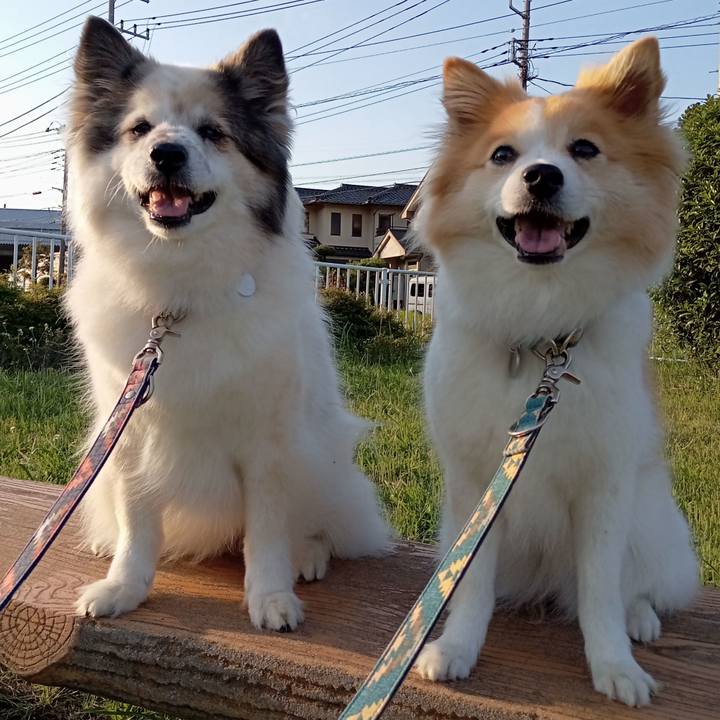 43f53c27 d8a4 4edf ab8e cd97a74c62bc 1652958773024