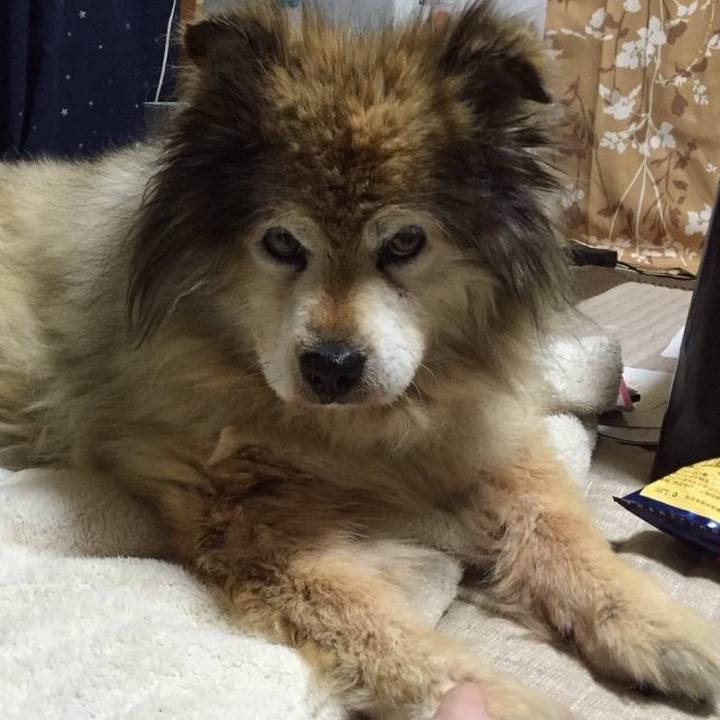 43f54096 8f41 4670 8f3e 53739f97ff5a 1615510947983