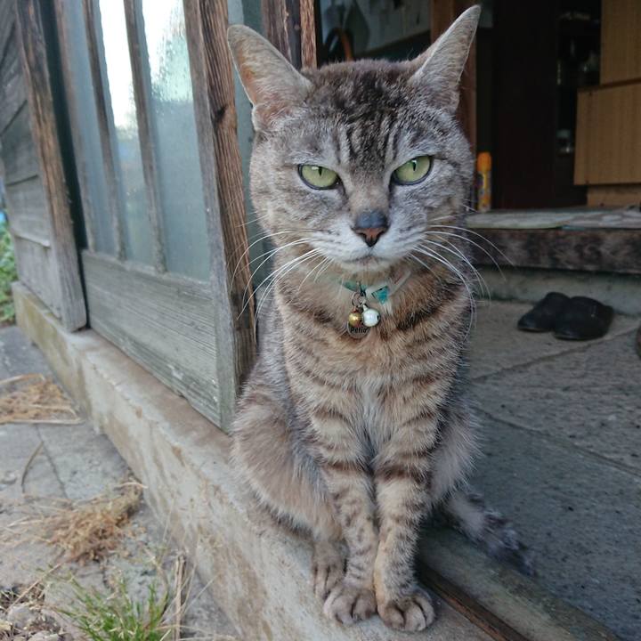 43f55a96 90d0 4b79 9adc 4e201d0aa5e9 1560332675088