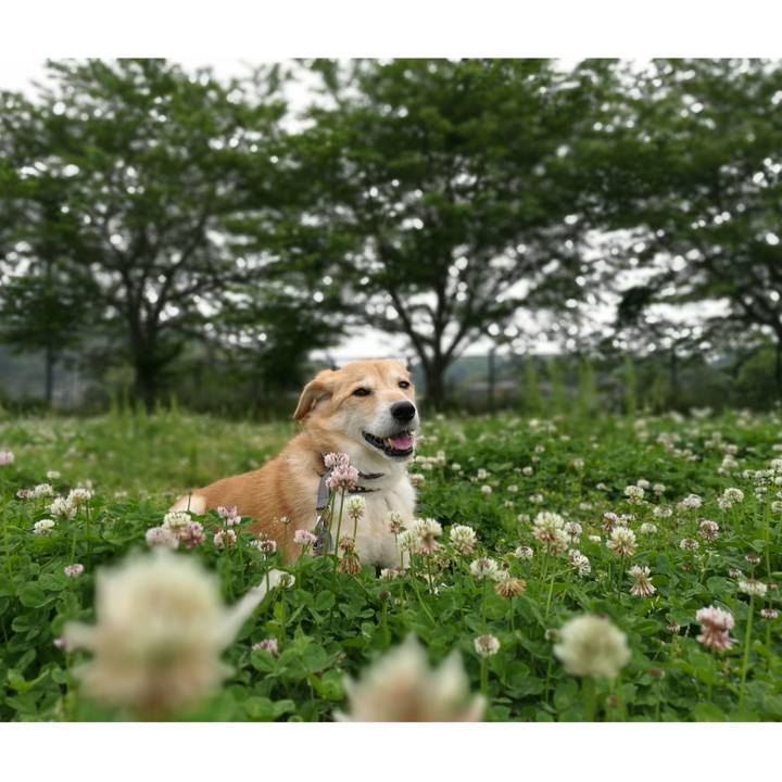 43f55b06 e55e 4c5f b195 f1aa0494ca06 1524534851915