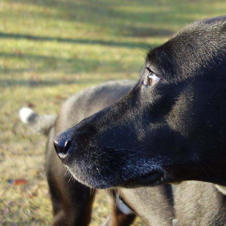 43f56982 9743 4a5d 829e 73a98c346f36 1637888320297