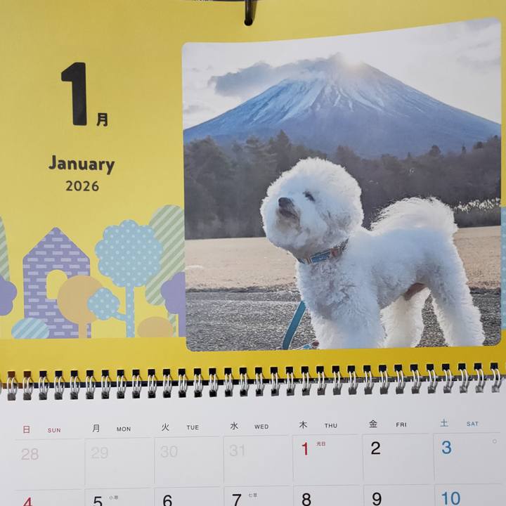 43f61ba4 c023 4cbb 87e6 0de069014f91 1767406504090